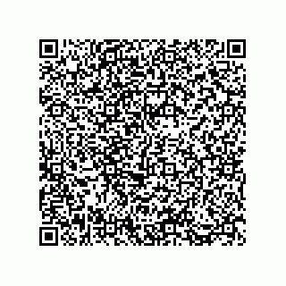 vCard 73812933393