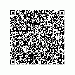 vCard 73812933403