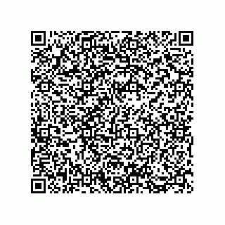 vCard 73812933410