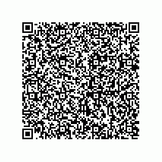 vCard 73812933411