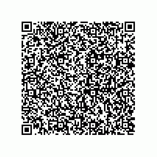 vCard 73812933479
