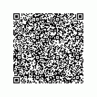 vCard 73812939999
