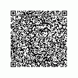 vCard 73812940295