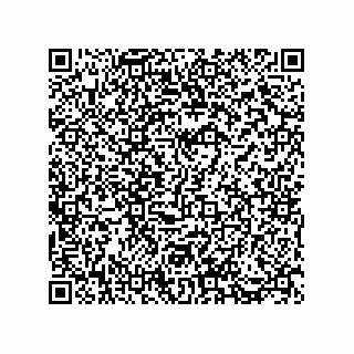 vCard 73812943631