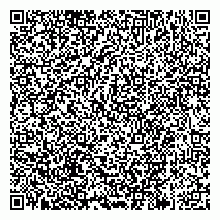 vCard 73812955319