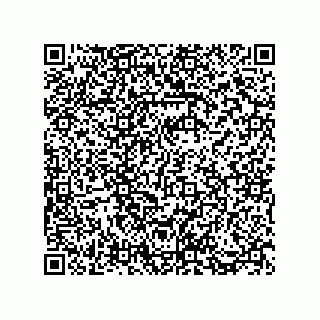 vCard 73812993533