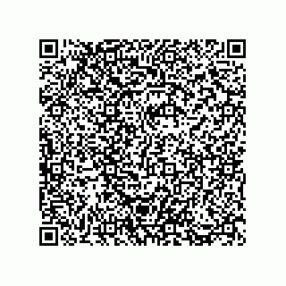 vCard 73812993714
