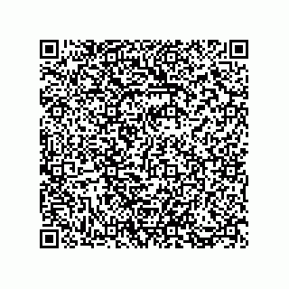 vCard 73812993781