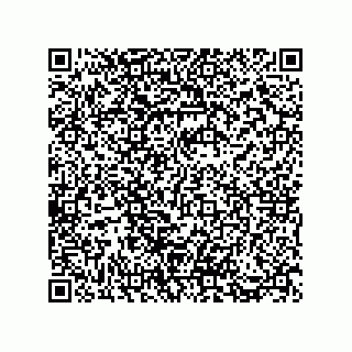 vCard 73812994700