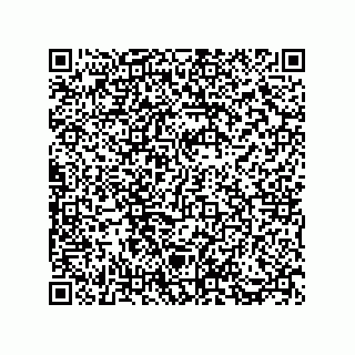 vCard 73812994703
