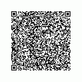 vCard 73812994729