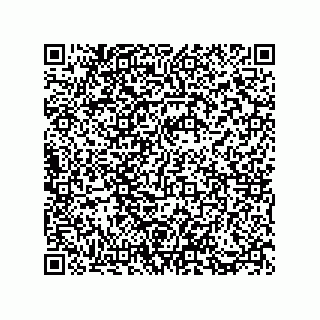 vCard 73812994795