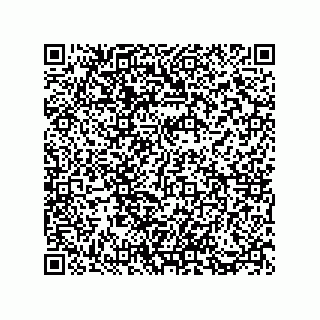 vCard 73812994809
