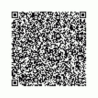 vCard 73814121119