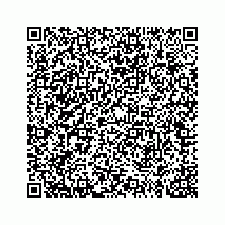 vCard 73814121133