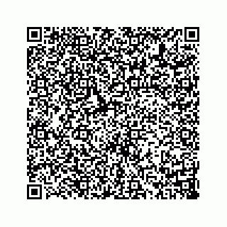 vCard 73814123385