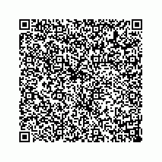 vCard 73814131139