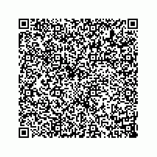 vCard 73814131329