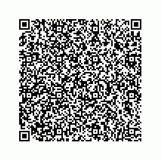 vCard 73814131339