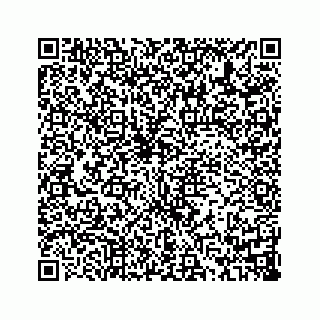 vCard 73814131777