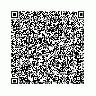 vCard 73814132111