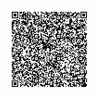 vCard 73814132130