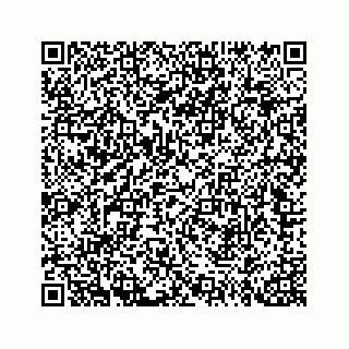 vCard 73814132199