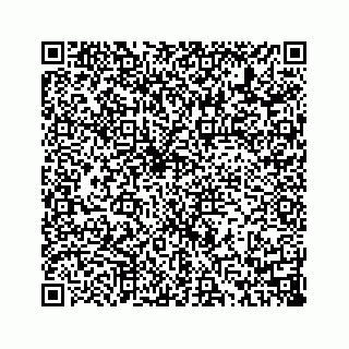 vCard 73814134333
