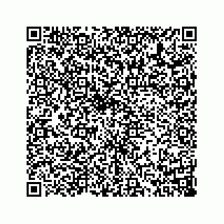 vCard 73814137379
