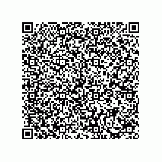 vCard 73815021333