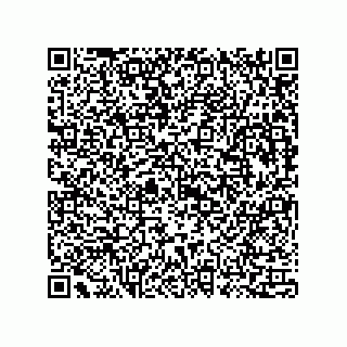 vCard 73815121380