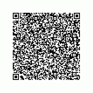 vCard 73815139131