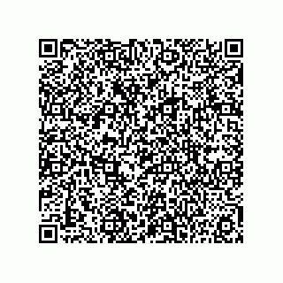 vCard 73815139209