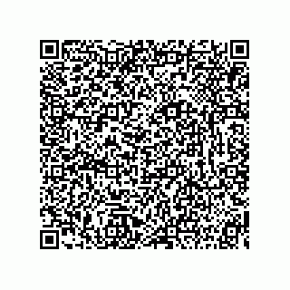 vCard 73815233111