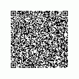 vCard 73815233329