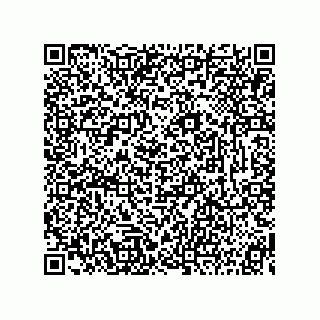 vCard 73815233386