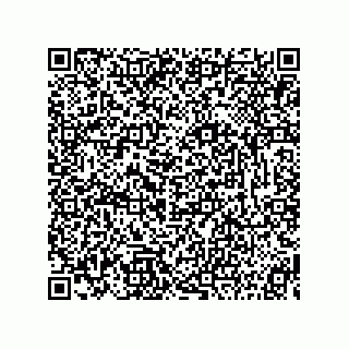 vCard 73815233389