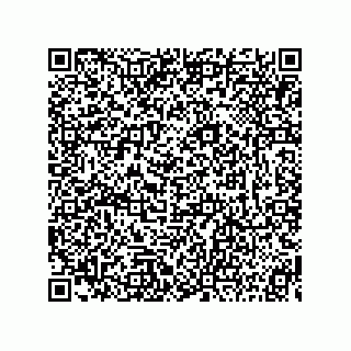vCard 73815233407