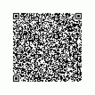 vCard 73815233433