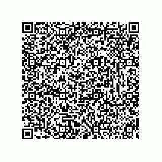 vCard 73815233733