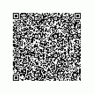 vCard 73815239221