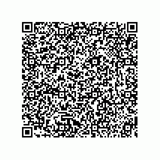 vCard 73815239287