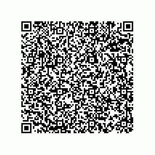 vCard 73815239295