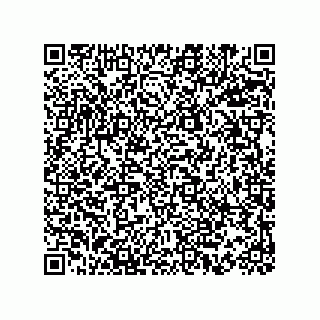 vCard 73815239311