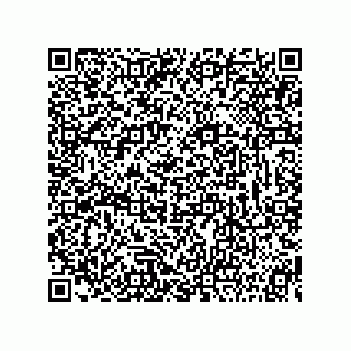 vCard 73815239370