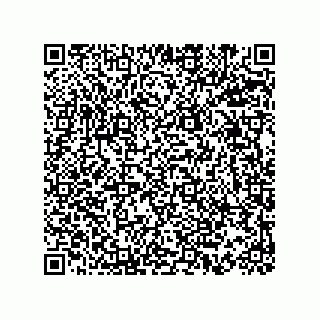 vCard 73815239379