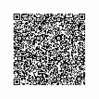 vCard 73815239403
