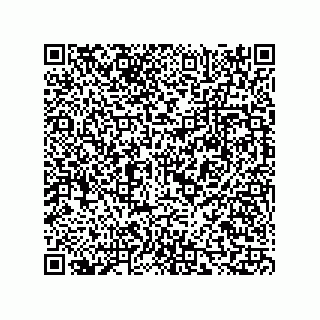 vCard 73815321133