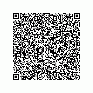 vCard 73815321137
