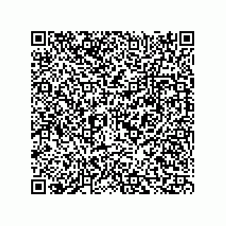 vCard 73815321179